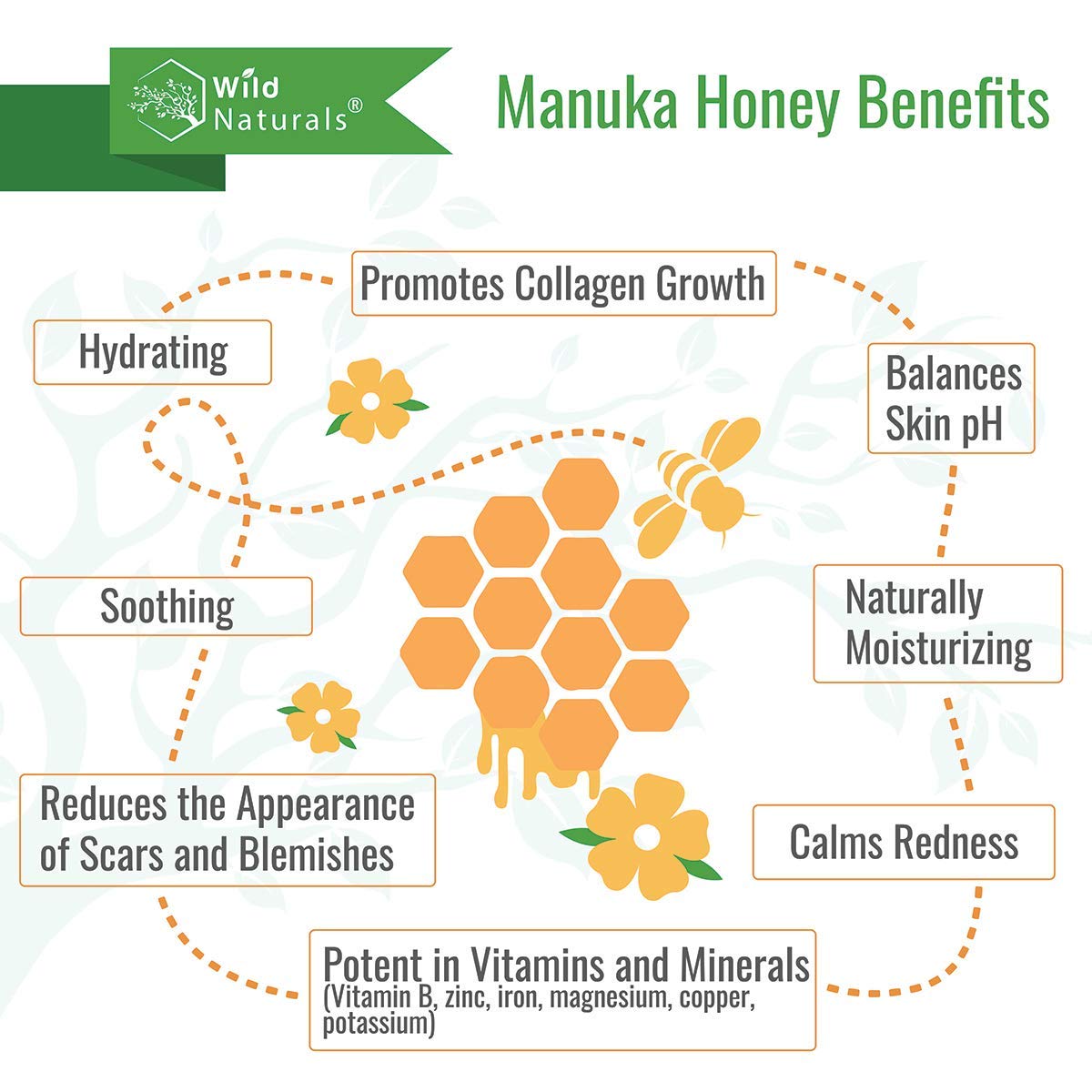 Wild Naturals 100% Pure Aloe Vera Gel with Manuka Honey – Organic Gel for Sunburn Relief, Acne, Scars & Dry Scalp – Moisturizing Gel for Face, Hair & Body - Image 6