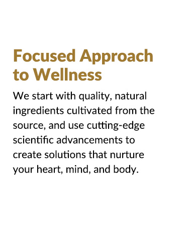Focused Approach to Wellness