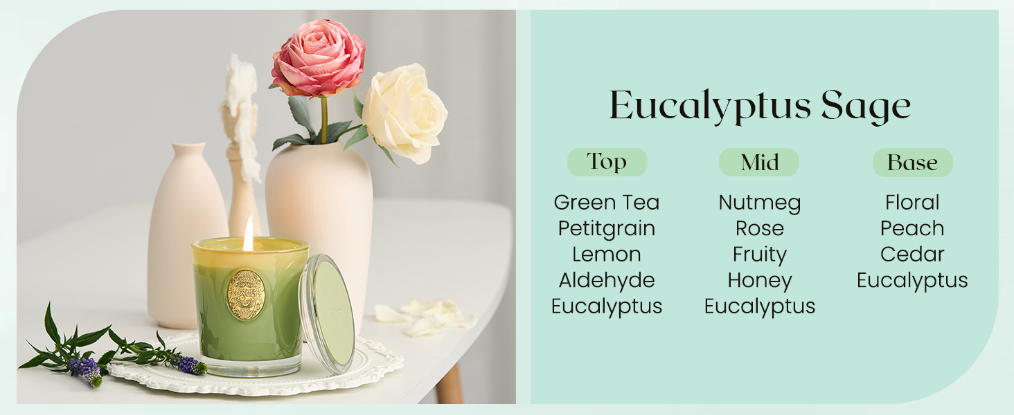 Eucalyptus Sage