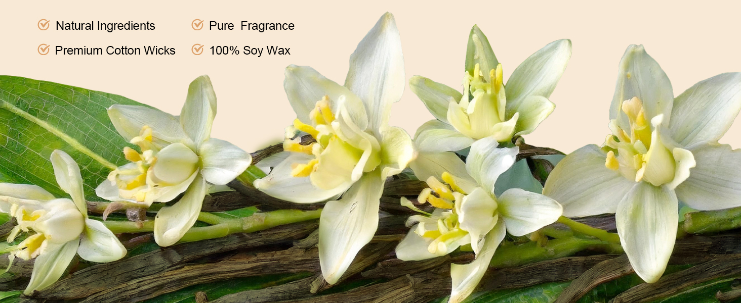 Natural Soy Wax