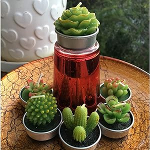 Cactus Succulent Tealight Candles