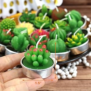 Cactus Succulent Tealight Candles