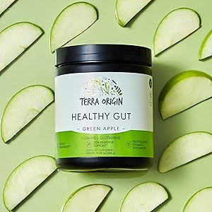 Terra Origin Healthy Gut Powder