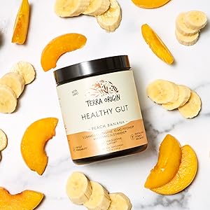 Terra Origin Healthy Gut Powder