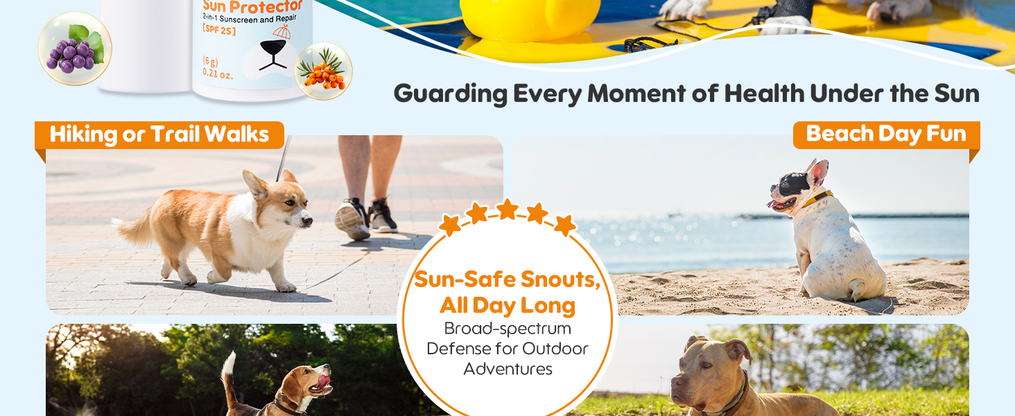 UV protection for dogs