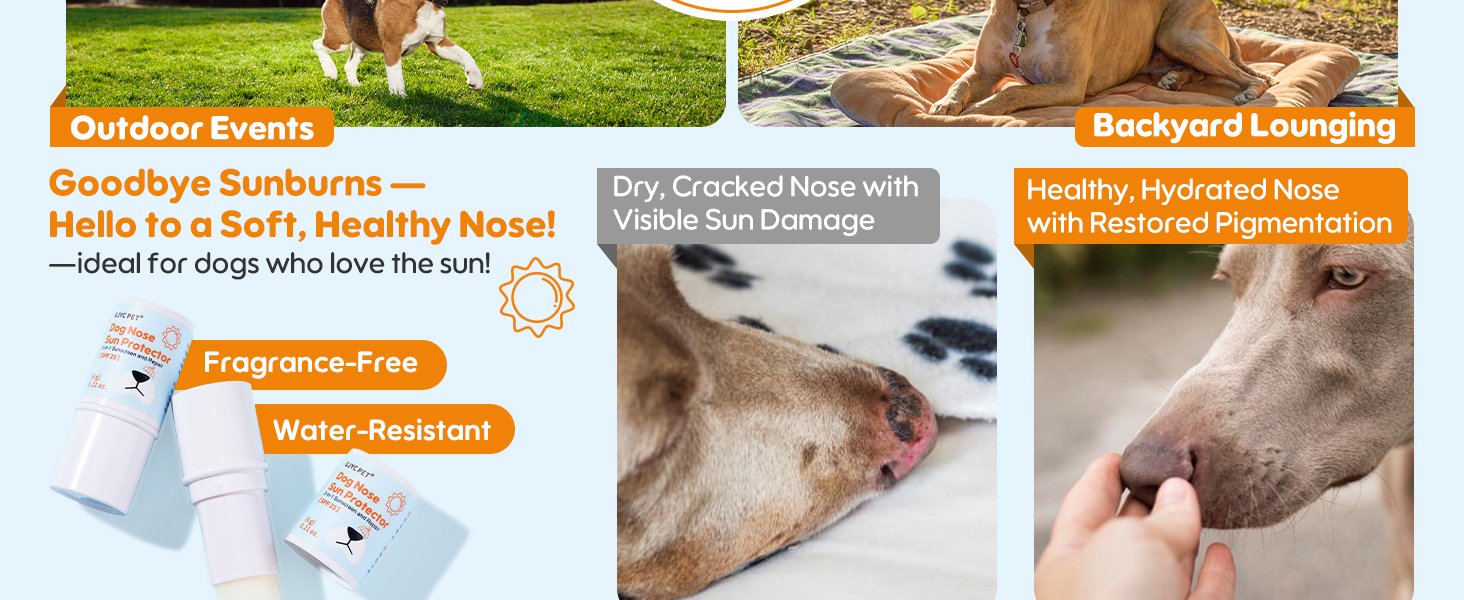 natural dog nose balm