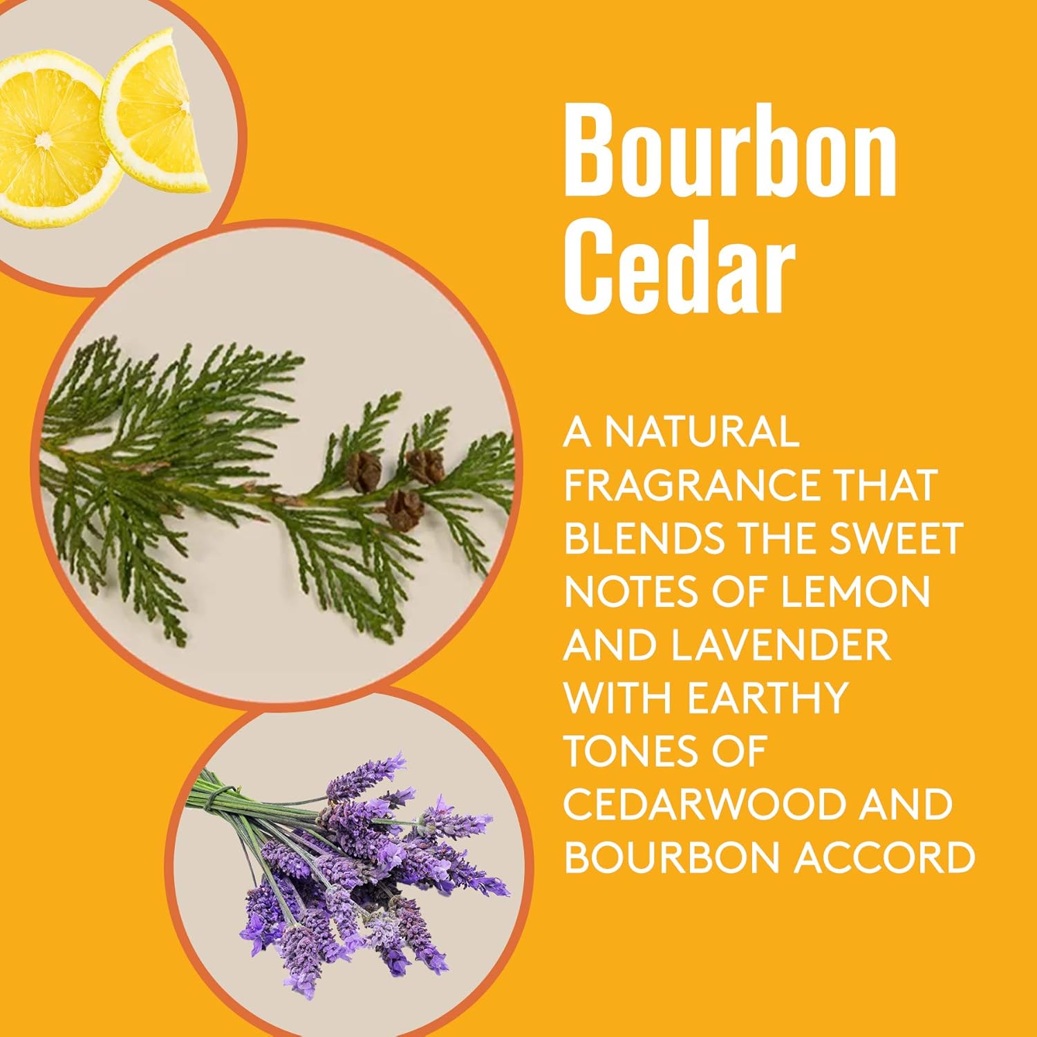 Barrel and Oak Cedarwood Bourbon Scent All-In-One Exfoliating Scrub for Face and Body 6.5 oz - Image 5