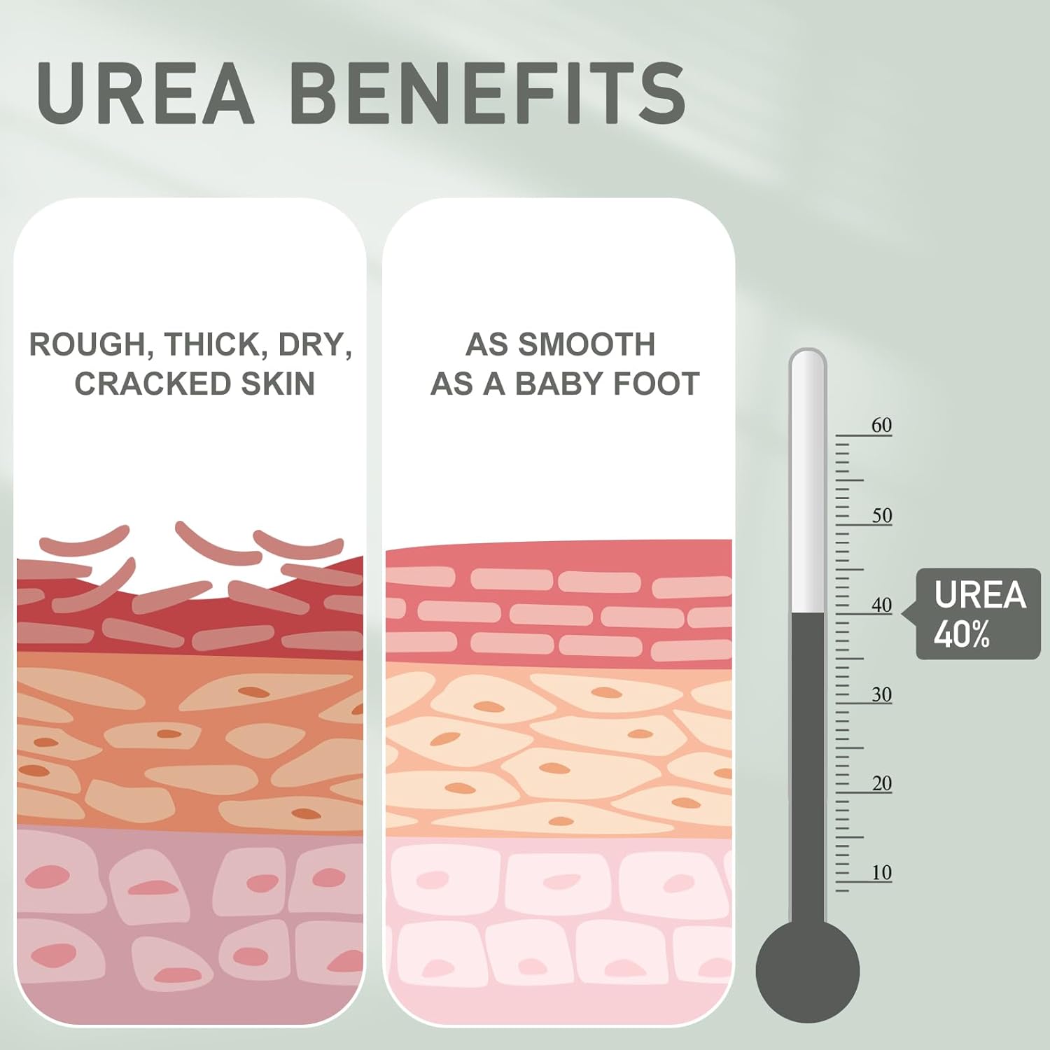 2-Pack 40% Urea Cream for Dry Skin Relief, 2.2 oz each - Image 3
