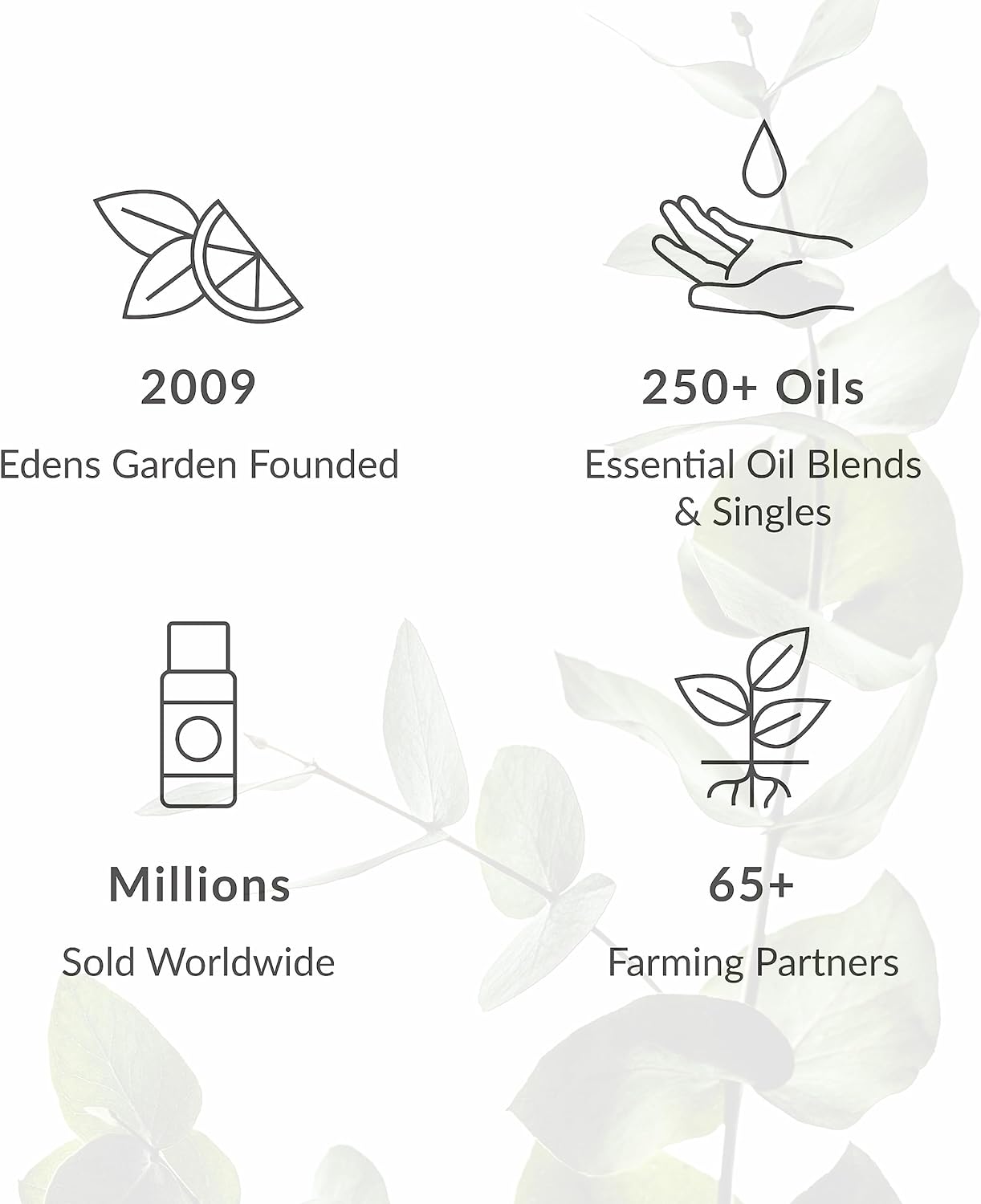 Edens Garden N°13 10ml 100% Pure Undiluted Natural Aromatherapy Essential Oil Blend - Image 6