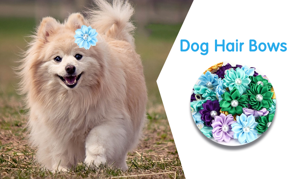 Dog Hair Bows