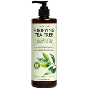 Soothing Tea Tree Body Wash Sulfate-Free Shower Gel – Nourishing Hydration Soothes Dry, Itchy Skin - Infused with Tea Tree oil, Mint, Vitamin E & Aloe, 16.2oz