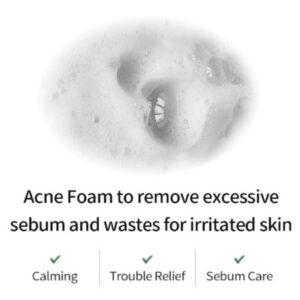 FARMSTAY Tea Tree Biome Low pH Calming Cleanser - Daily Facial Cleanser for Sensitive Skin, Korean Skin Care, Hydrating and Soothing Face skin, Acne Free Cleansing Foam, Gentle Facial Cleanser, for