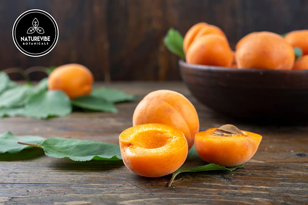 Naturevibe Botanicals Apricot Oil 32 Ounces | 100% Pure and Natural | Great for Skin Care and Hair Care - Image 4