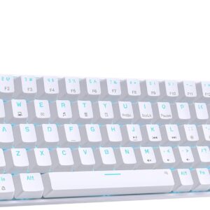 DIERYA T68SE 60% Gaming Mechanical Keyboard,Ultra Compact Mini 68 Key with Red Switches Wired Keyboard,Anti-Ghosting Keys, for Windows Laptops and PC Gamers,White