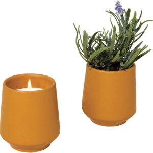 Modern Sprout Rooted Candle - 2 in 1 Cedarwood Scented & Soy Candle with Seeds That Grows into Lavender Plant - 6 oz w/ 42 hr Burn time in Matte Glaze Ceramic Vessel Ideal for Indoor Herb Garden