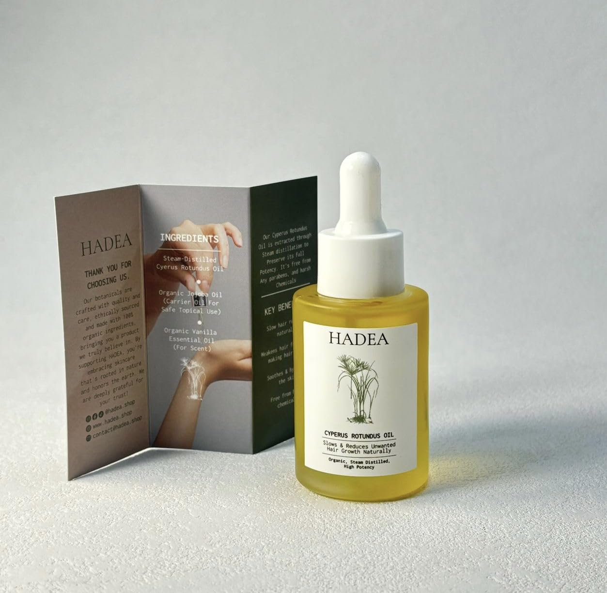 Cyperus Rotundus Oil to Reduce Hair Growth 100% Organic High-Potency Steam Distilled Cyprus Nutgrass Cypress Hair Inhibitor | Cypress Rotundus Oil For Pcos, Hirsutism, Any Unwanted Hair 30ml - Image 3