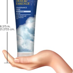 Desert Essence Fragrance Free Shampoo & Conditioner Bundle - 8 Fl Ounce - Pure - Vitamin B5 - Green Tea - Softer, Shinier & More Manageable - Aloe Vera - Unscented