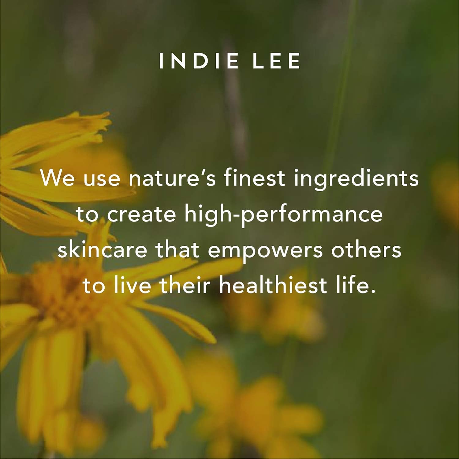 Indie Lee CoQ-10 Face Toner - Refreshing, Hydrating Mist for All Skin Typed - Hyaluronic Acid, Aloe + Chamomile - Alcohol + Essential Oil-Free Facial Toner (125ml) - Image 5