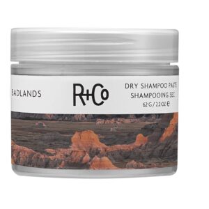 R+Co Badlands Dry Shampoo Paste |