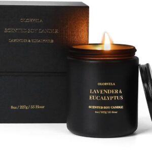 Scented Candles for Men, Candles for Home Scented, 8oz Vanilla Candle,50-Hour Burn Time, Aromatherapy Home Decor Gifts for Men