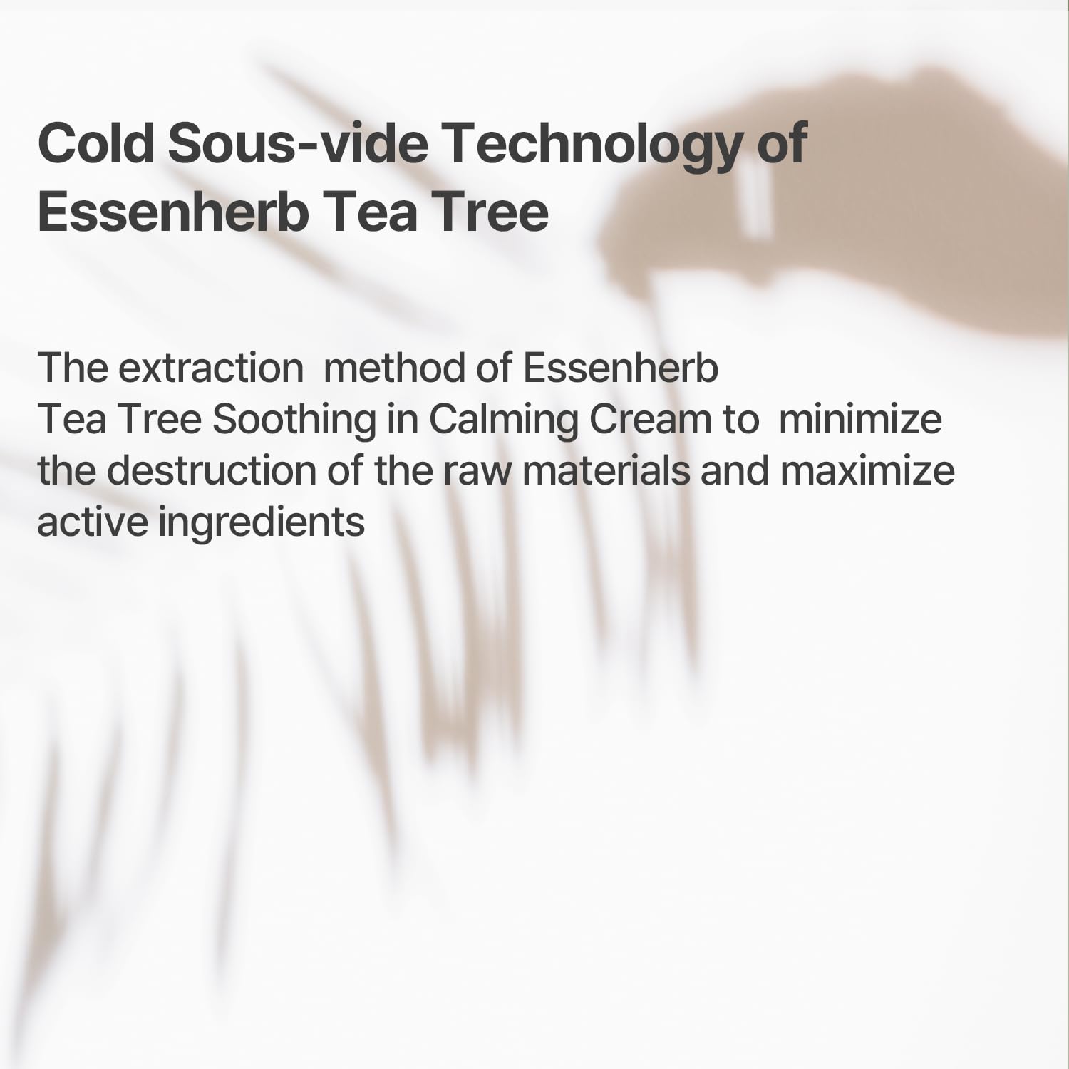Tea Tree Calming Cream Korean Face Moisturizer for Sensitive Dry Skin 80ml - Image 7