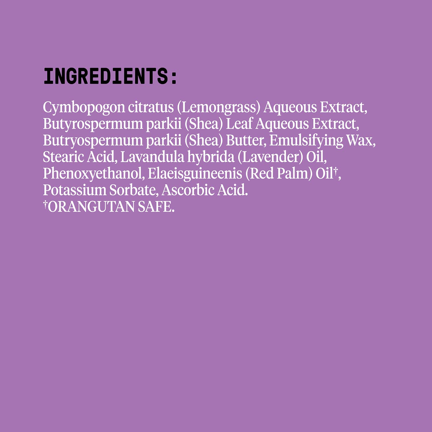 Alaffia EveryDay Shea Body Lotion 32 Fl Oz Normal to Very Dry Skin Shea Lemongrass - Image 2