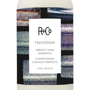 R+Co Television Perfect Hair Shampoo | Body + Shine + Smoothing for All Hair Types | Vegan + Cruelty-Free |