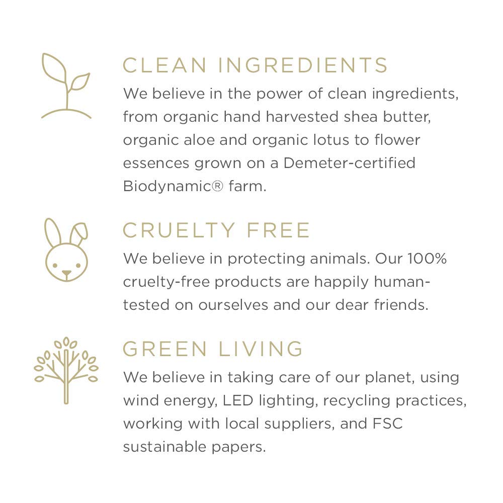 Zents Hand & Body Wash (Anjou Fragrance) | Hydrating Anti-Aging Cleanser with Organic Shea Butter & Aloe for Dry Skin | Gentle & Nourishing | 10 fl oz - Image 5