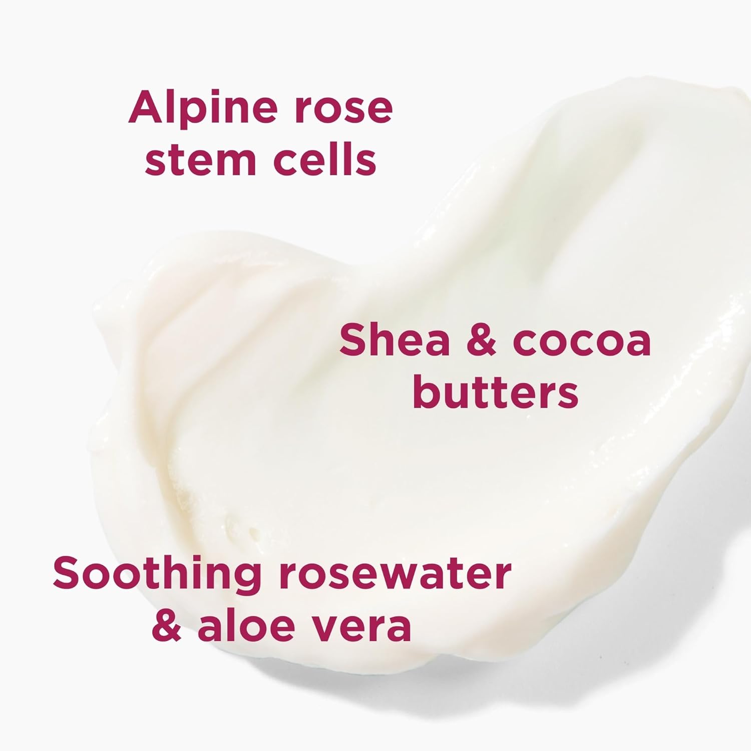 Andalou Naturals 1000 Roses 32 Fl Oz Soothing Body Lotion for Sensitive Skin with Shea Butter - Image 3