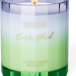 M&SENSE Spring Bergamot Cactus Scented Candle, 10.6oz Natural Soy Wax Non Toxic 60-Hour Slow Burning Highly Scented Candle for Home Decor & Housewarming Gifts