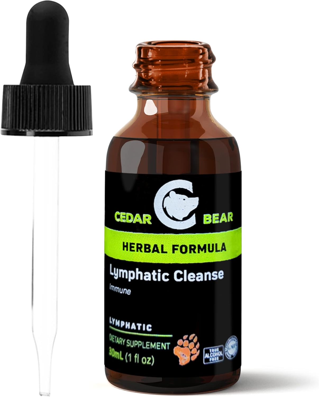 Cedar Bear Lymphatic Cleanse Alcohol-Free Herbal Drops for Immune Support, 1 fl oz - Image 7