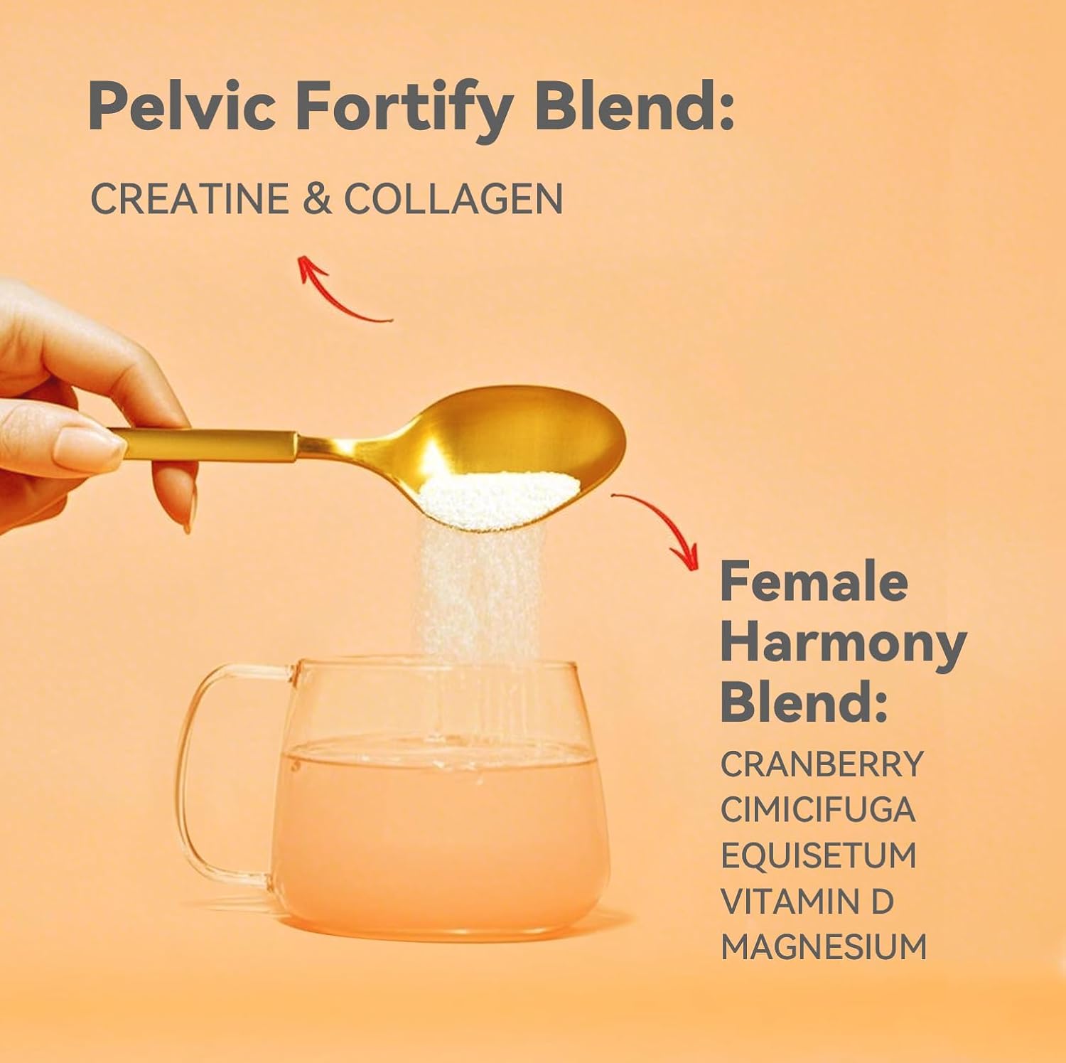 Gynable UROCollagen,Bladder Control Supplement for Women,Urinary Tract Health, Strengthen Pelvic Floor Muscles,Urinary Leakage,Female Care,with Creatine,Natural Lemon Flavored - Image 5