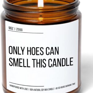 Only Hoes Can Smell This Candle - Funny Best Friend Birthday Gifts for Women - Sassy Sarcastic Bestie Present for Her Sister - Cute Christmas Friendship Gifts Ideas - 9 oz Natural Soy Wax