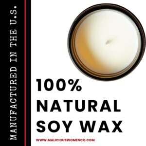 Malicious Women Co - Funny Office Gifts, Office Humor Gifts, Playful Office Decor, Unique Gifts for Coworkers, Sassy Office Decor, Fun Work Gifts, 9 Oz Soy Candle Scent: Vanilla Crumbcake