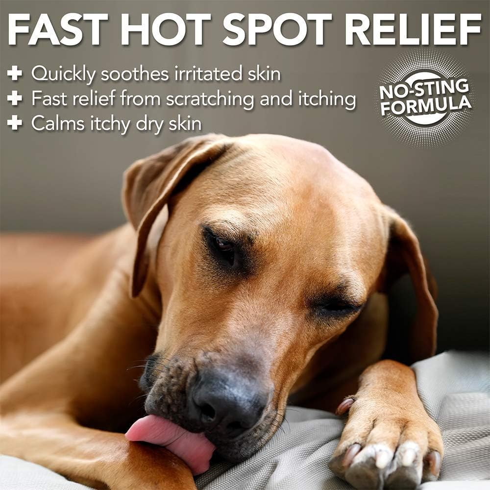 Vet's Best Allergy Itch Relief Spray for Dogs | Soothes Dog Dry Skin | Relieves The Urge to Itch, Lick, and Scratch | 8 Ounces - Image 6