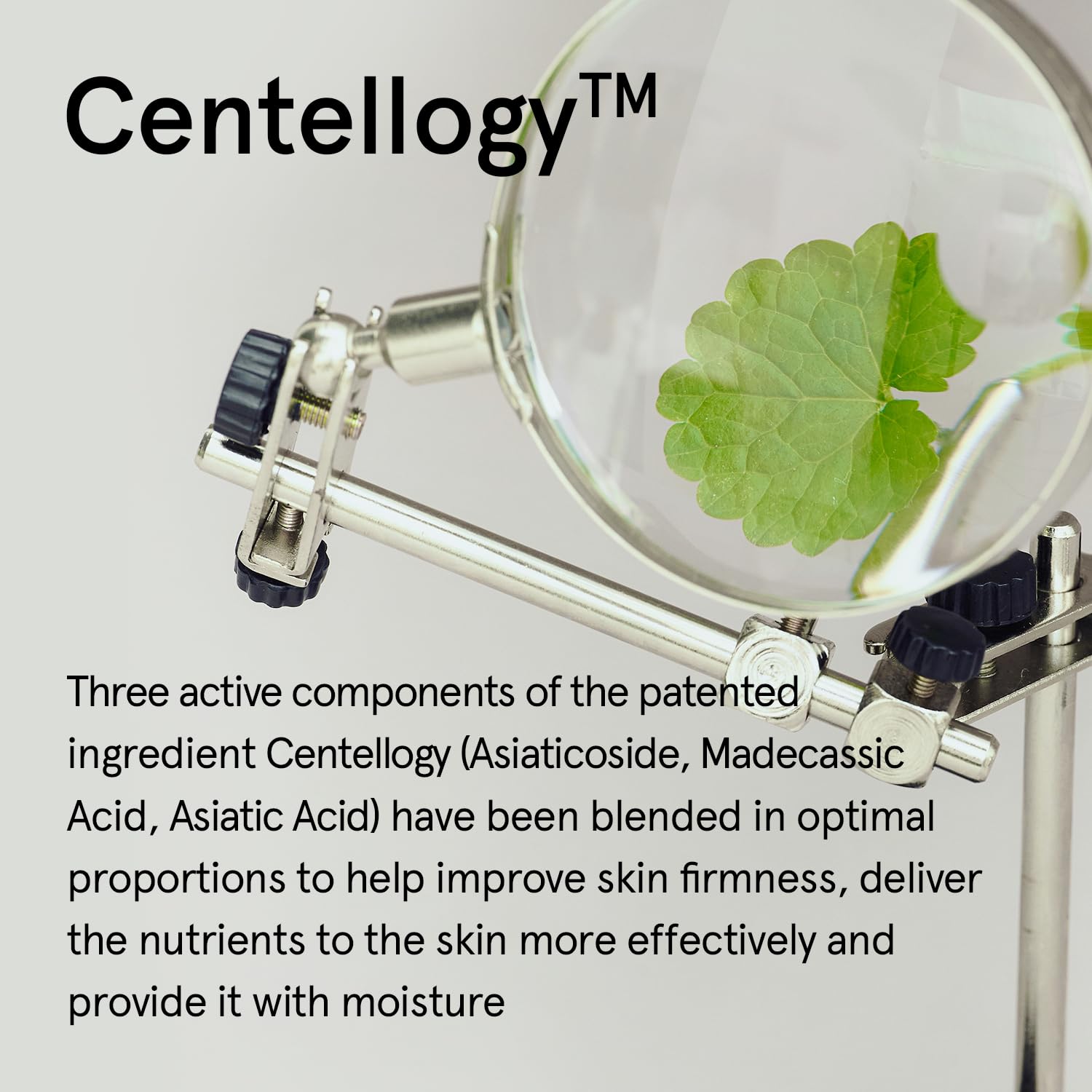 ONE THING Cica Ceramide Cream 2.47 Oz | Centella Asiatica Soothing Calming Hydrating Facial Moisturizer for All, Dry Combination Sensitive Skin, Barrier Repair Strengthening | Vegan Korean Skincare - Image 5
