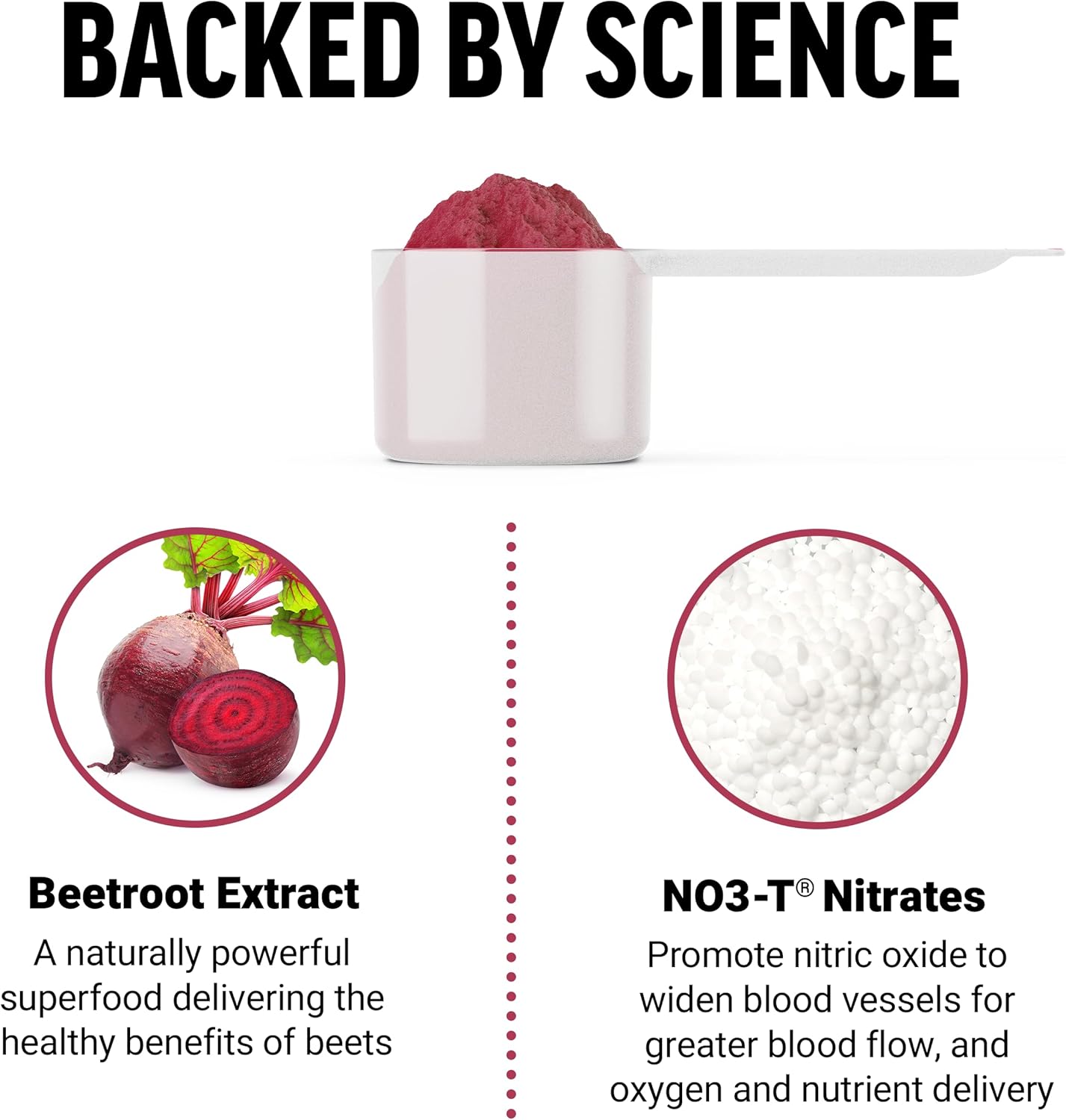 Force Factor Total Beets Superfood Powder Drink Mix 30 Servings for Circulation and Energy - Image 3