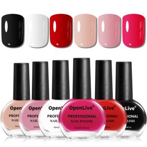 Nail Polish Set 6 Colors Multi colour Quick Drying Nail Polish, Black White Red Pink Collection Gifts for Women