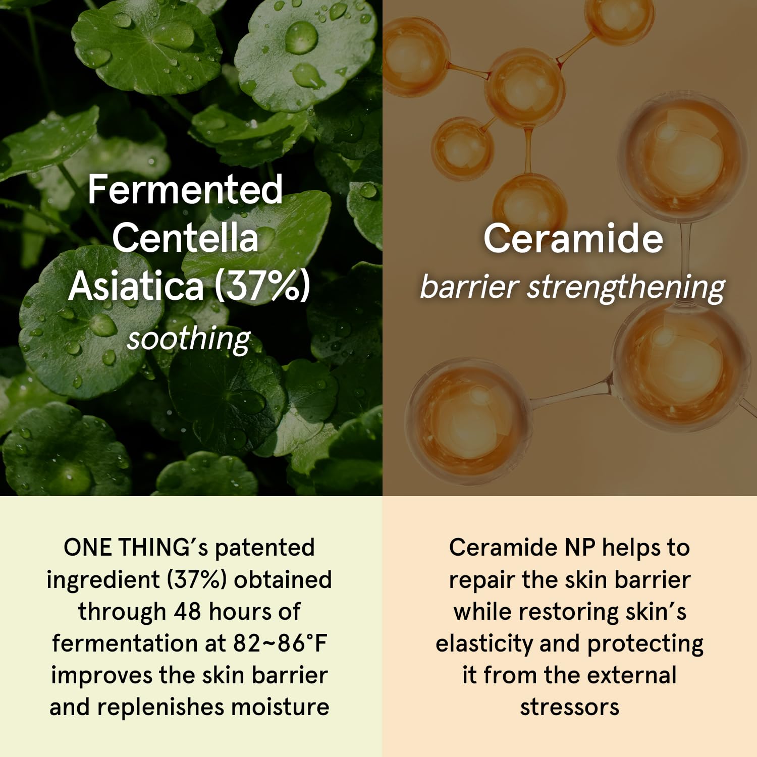 ONE THING Cica Ceramide Cream 2.47 Oz | Centella Asiatica Soothing Calming Hydrating Facial Moisturizer for All, Dry Combination Sensitive Skin, Barrier Repair Strengthening | Vegan Korean Skincare - Image 4