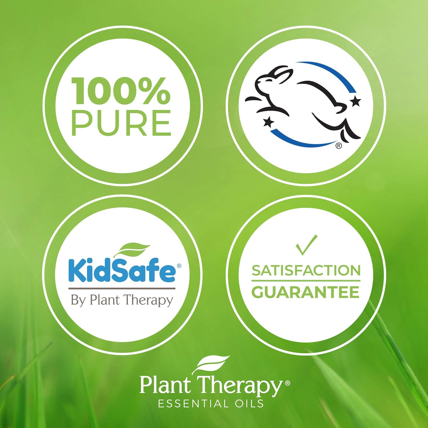 Plant Therapy Marjoram Sweet Essential Oil | 100% Pure, Undiluted, Natural Aromatherapy, Therapeutic Grade | 10 Milliliter (1/3 Ounce) - Image 3
