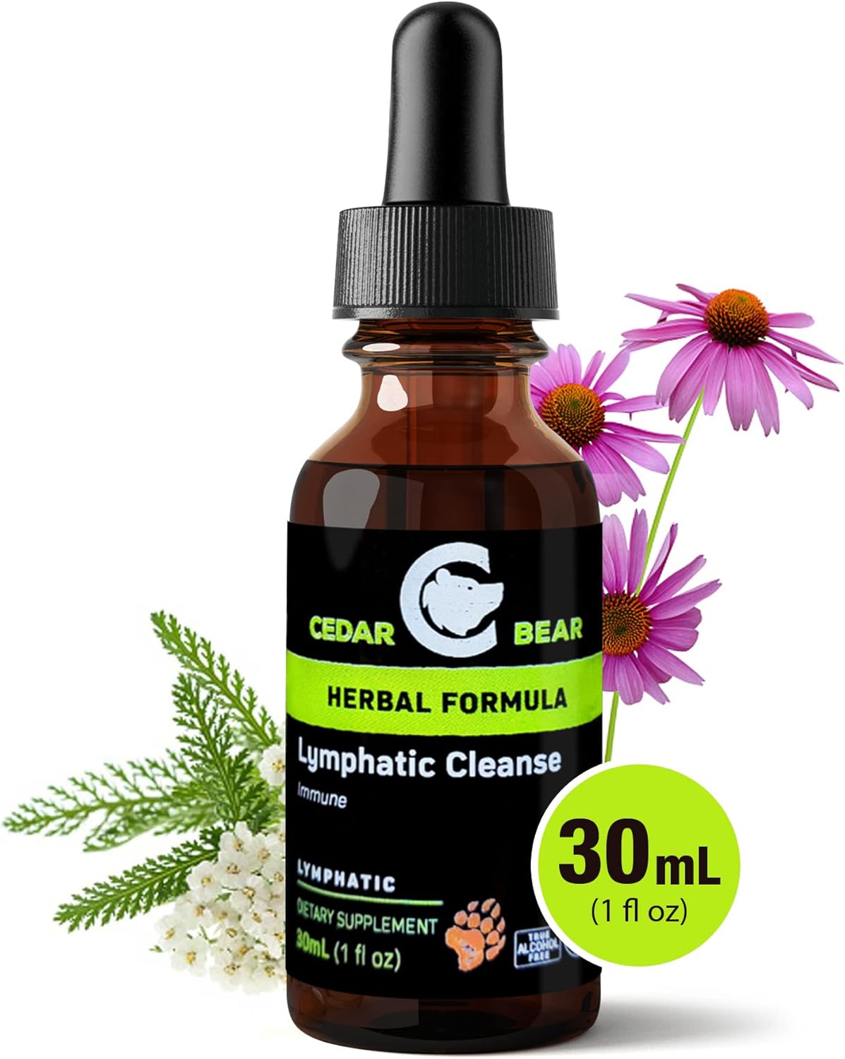Cedar Bear Lymphatic Cleanse Alcohol-Free Herbal Drops for Immune Support, 1 fl oz - Image 5