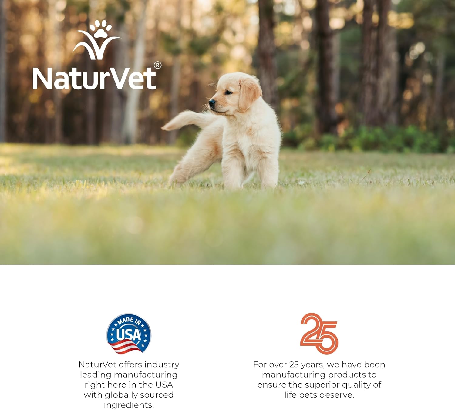 NaturVet β Potty Here Training Aid Spray | Attractive Scent Helps Train Puppies & Dogs Where To Potty | Formulated For Indoor & Outdoor Use | 32 oz - Image 8