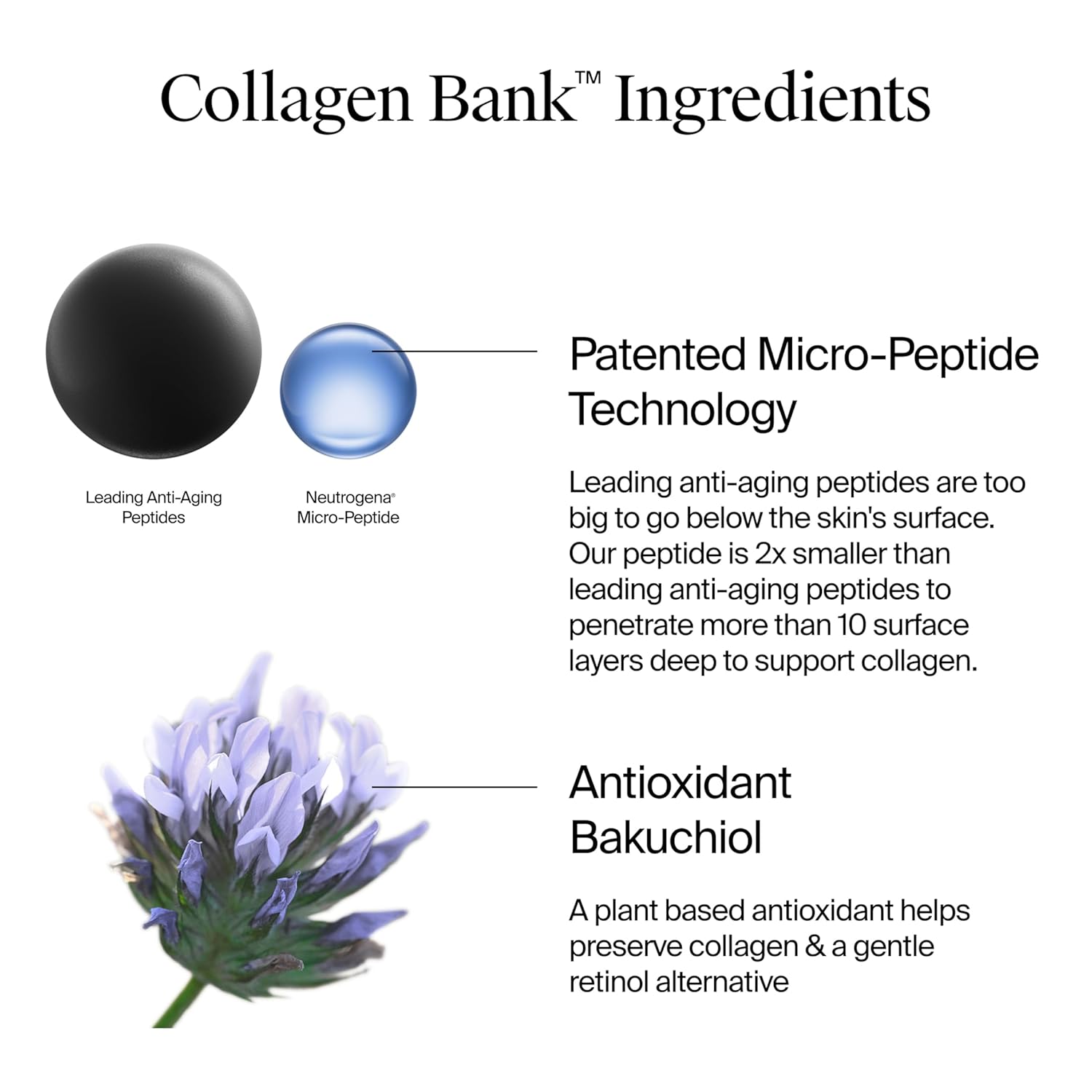 Neutrogena Collagen Boost Face Moisturizer 2.7 fl oz Anti-Aging Cream with Bakuchiol - Image 6