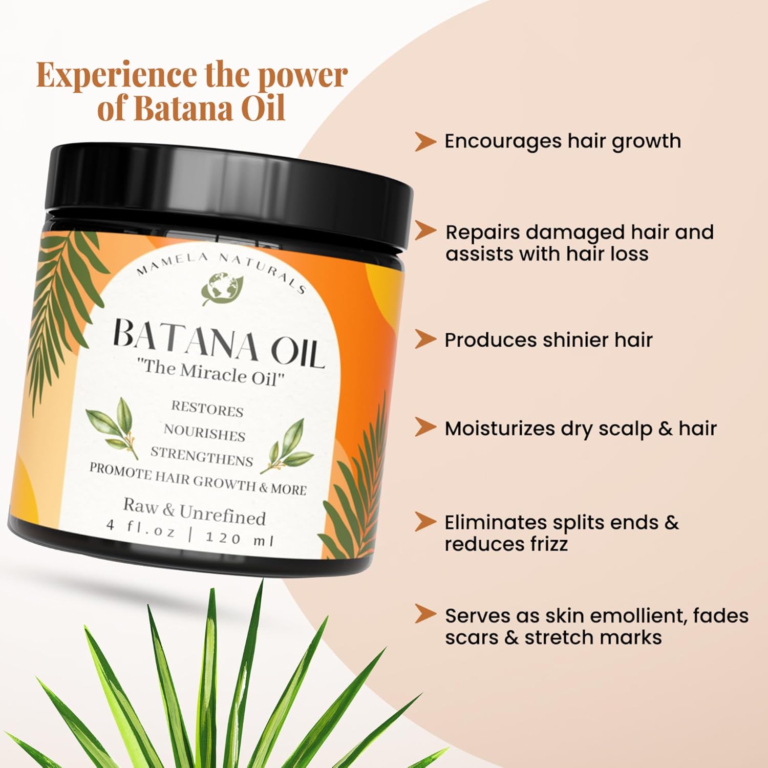 100% Pure Organic Unrefined Batana Oil Hair Growth Mask 4 oz - Enhances Thickness, Prevents Loss, Repairs Split Ends - Image 4