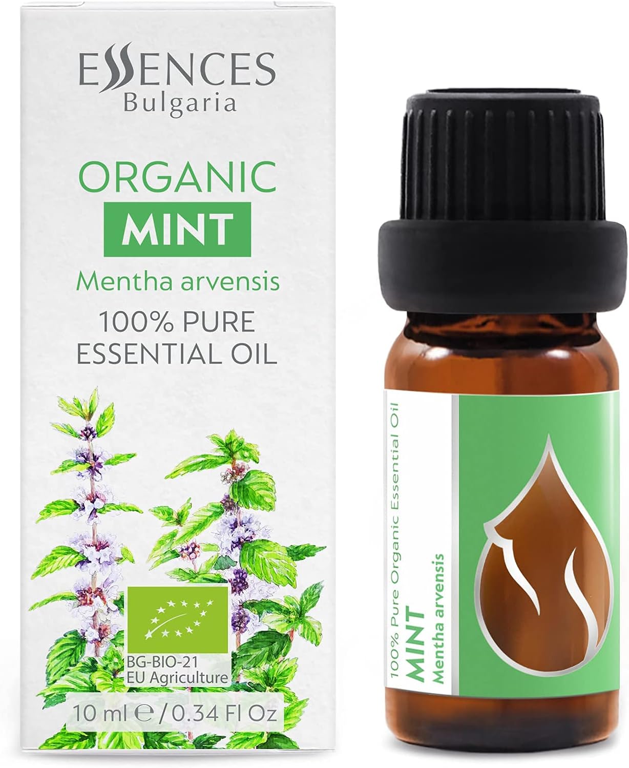 Organic Mint Essential Oil 1/3 Fl Oz (10ml) Mentha arvensis - 100% Pure Natural and Undiluted Therapeutic Aromatherapy Diffuser Fresh Aroma Muscle Cooling Massage Head Tention Relief