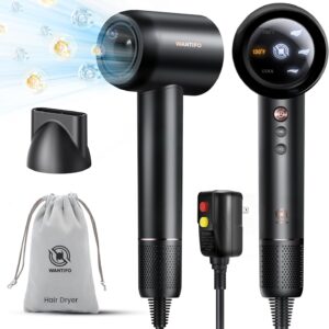 Ionic Hair Dryer High Speed Blow Dryer with 110000 RPM Brushless Motor Fast Drying - LED Display, Thermo-Control, Low Noise Professional Portable Hairdryer for Travel, Salon, Home, Gift (Black)