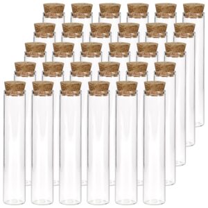 DEPEPE 30pcs 25ml Glass Test Tubes, 20x100mm Clear Flat Test Tubes with Cork Stoppers for Plants, Scientific Experiments, Bath Salt and Candy Storage