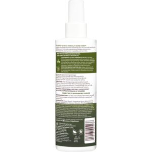 Palmer's Olive Oil Formula Leave In Conditioner Spray, Shine Therapy, Instantly Detangle, Soften and Smooth Textured and Curly Hair, 8.5 Ounces (Pack of 2)