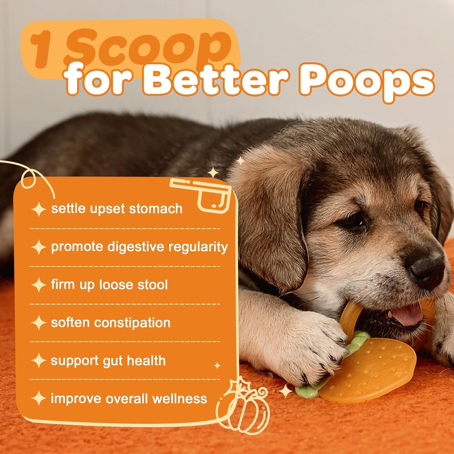 Pumpkin for Dogs - Natural Fiber for Dogs and Cats, with Apple, Dog Probiotics for Digestive Health, Support Firm Stool, Diarrhea, Constipation, Add Water to Make Pumpkin Puree for Dogs, 10.58 oz - Image 3