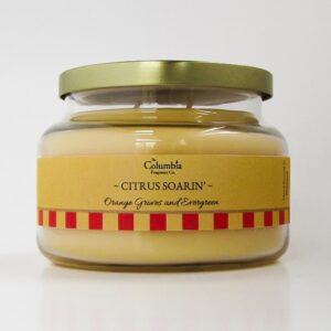 Citrus Soarin’ Candle – Inspired by Soarin’ Ride Scents – Orange, Evergreen & Cedar – Disney Resort and Attraction Scented Candle – Fresh Citrus Woodsy Home Fragrance – Long-Lasting Burn
